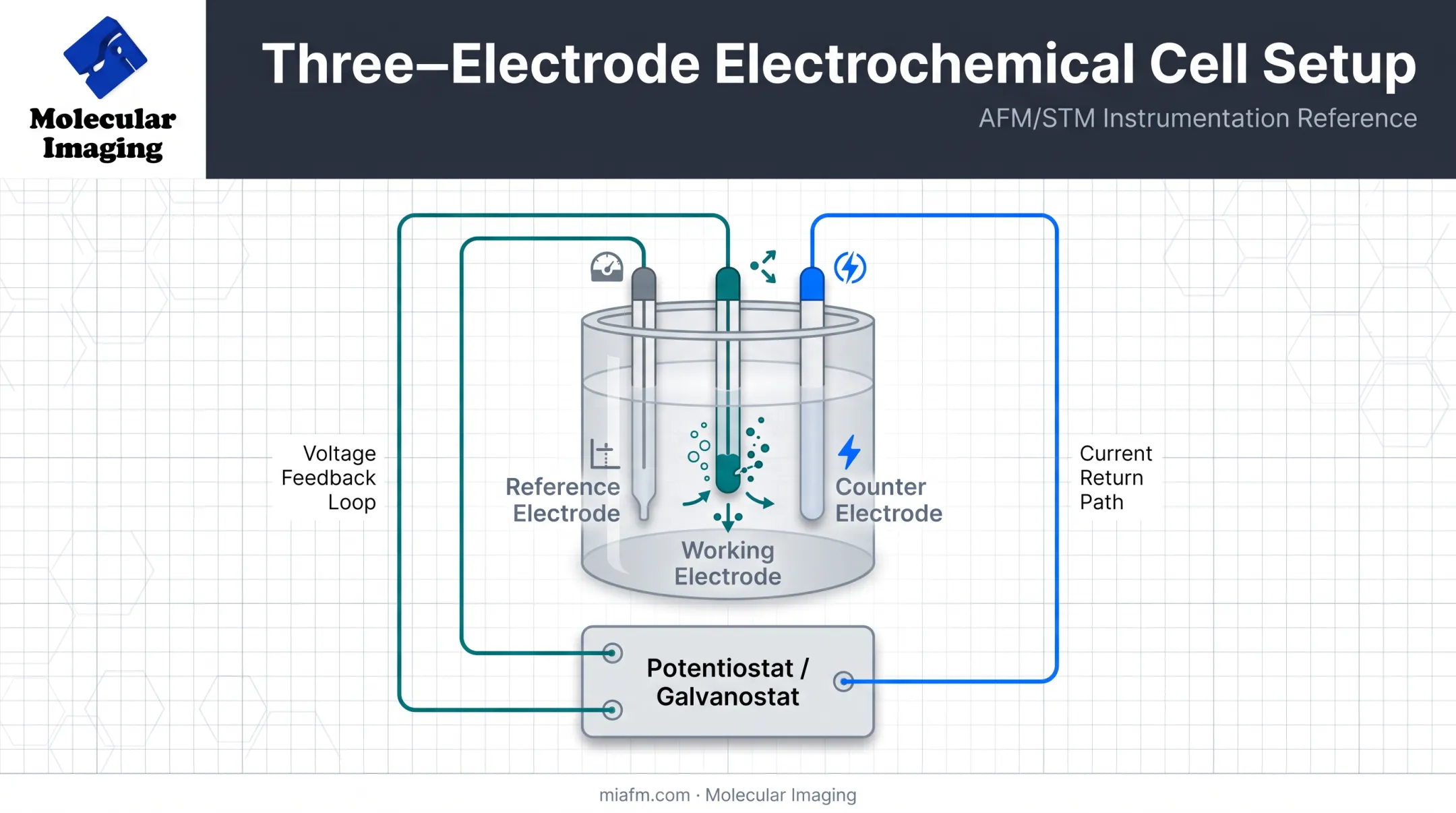 Three-electrode electrochemical cell diagram showing working reference counter electrodes