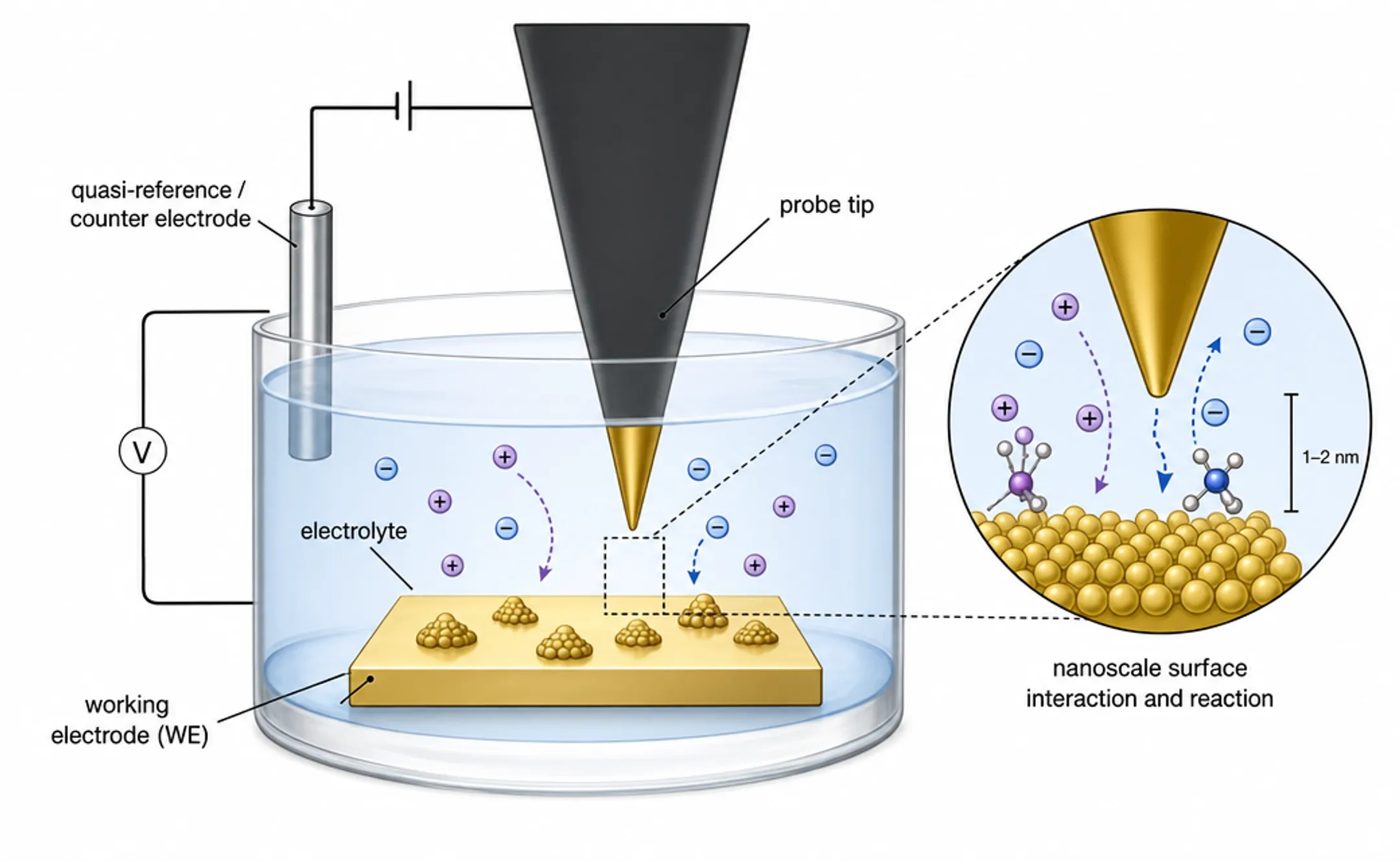 Atomic force microscope tip imaging electrode surface during electrochemical reaction