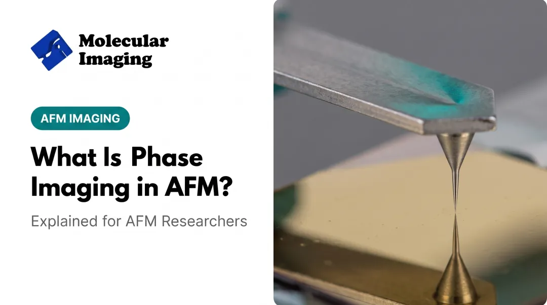 What Is Phase Imaging in AFM?