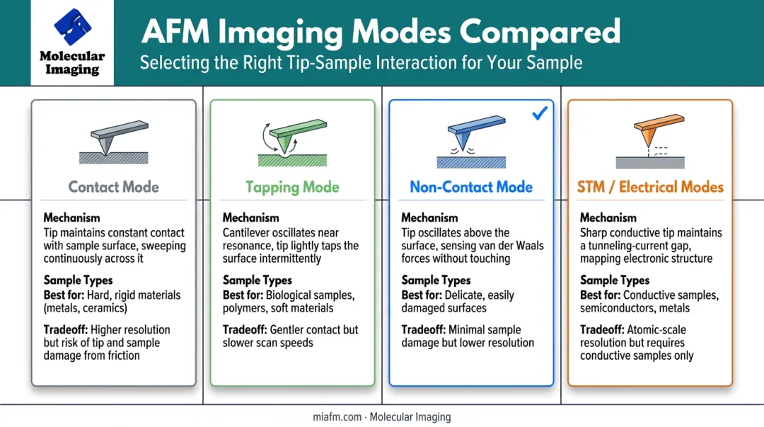 Comparison of contact tapping non-contact and STM AFM imaging modes