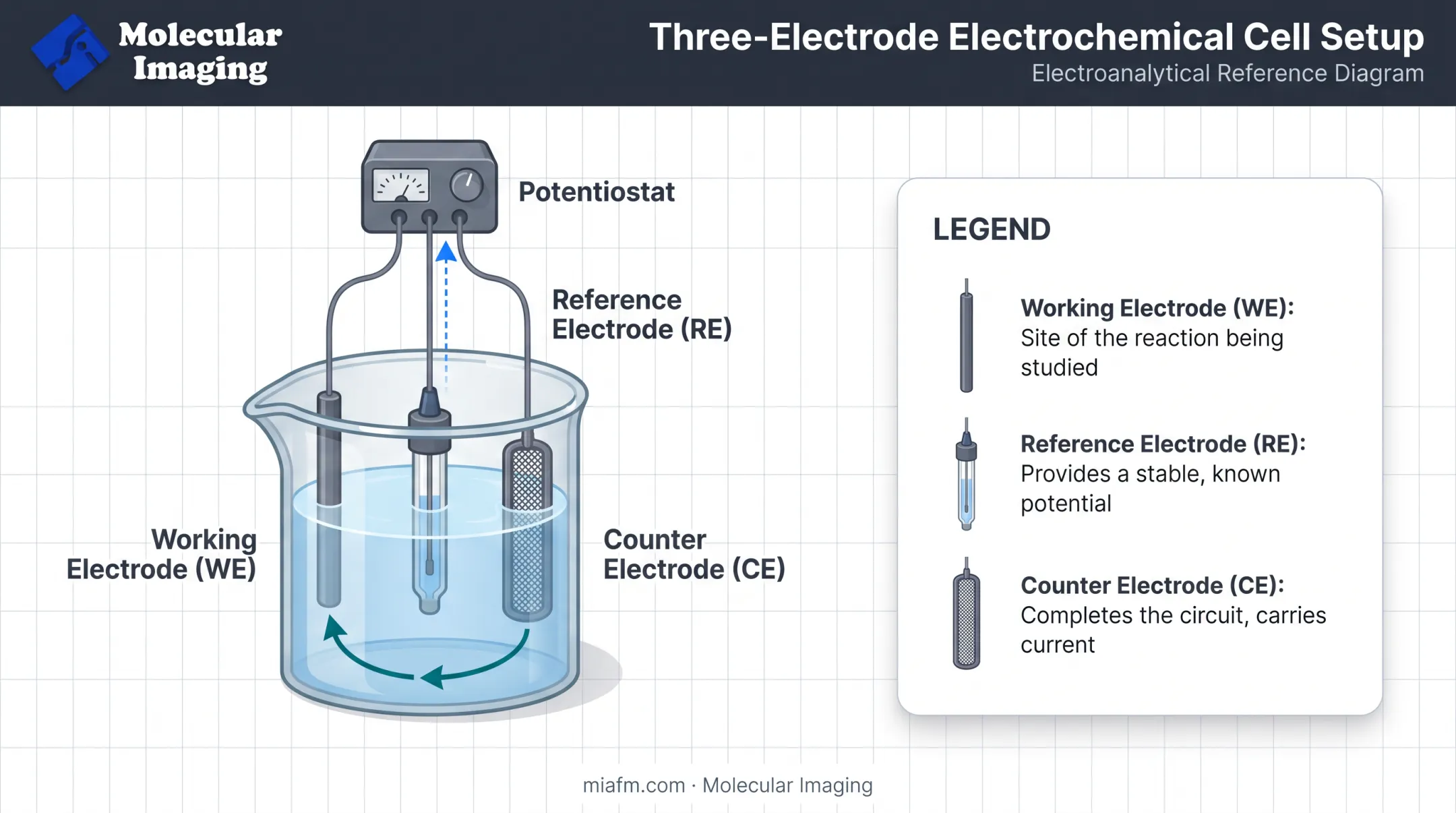 Three-electrode electrochemical cell diagram showing working reference and counter electrodes