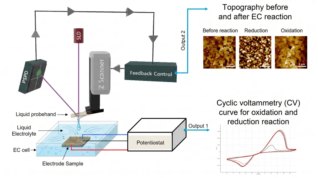 Electrochemical AFM setup showing liquid cell for in-situ battery electrode monitoring during charge cycles