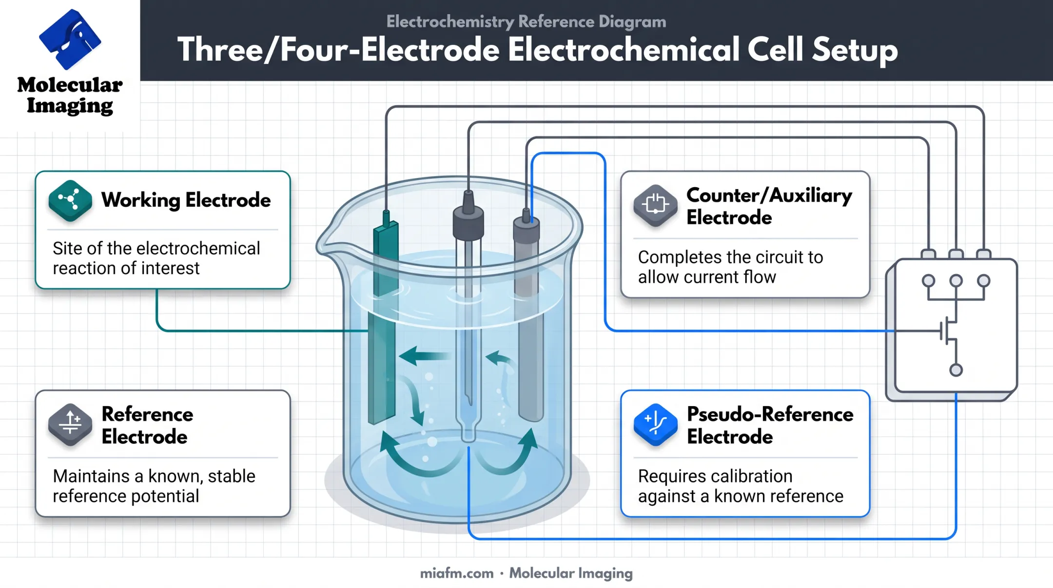 Four types of electrodes in electrochemical cell setup diagram