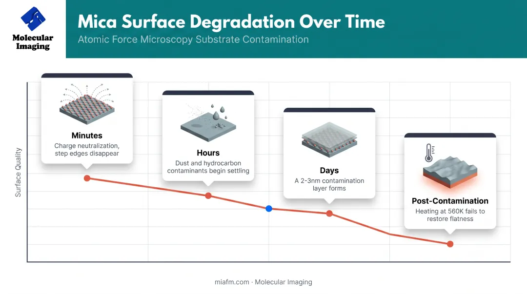 Cleaved mica surface aging timeline from minutes to days