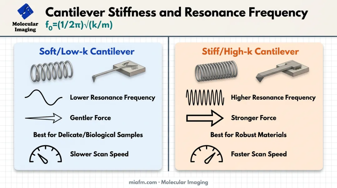 Soft versus stiff AFM cantilever comparison for tapping mode selection