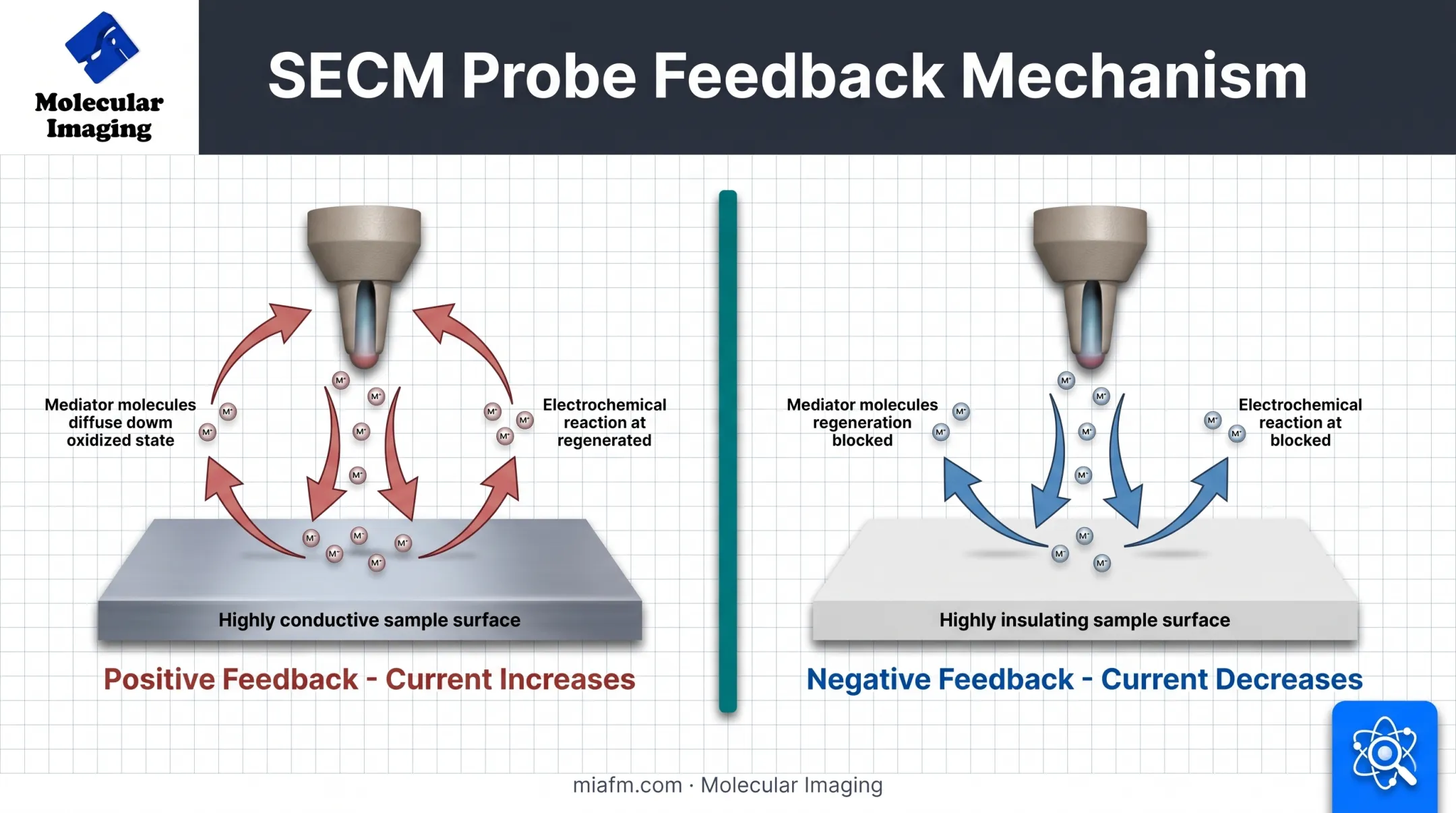 SECM positive and negative feedback current mechanism diagram