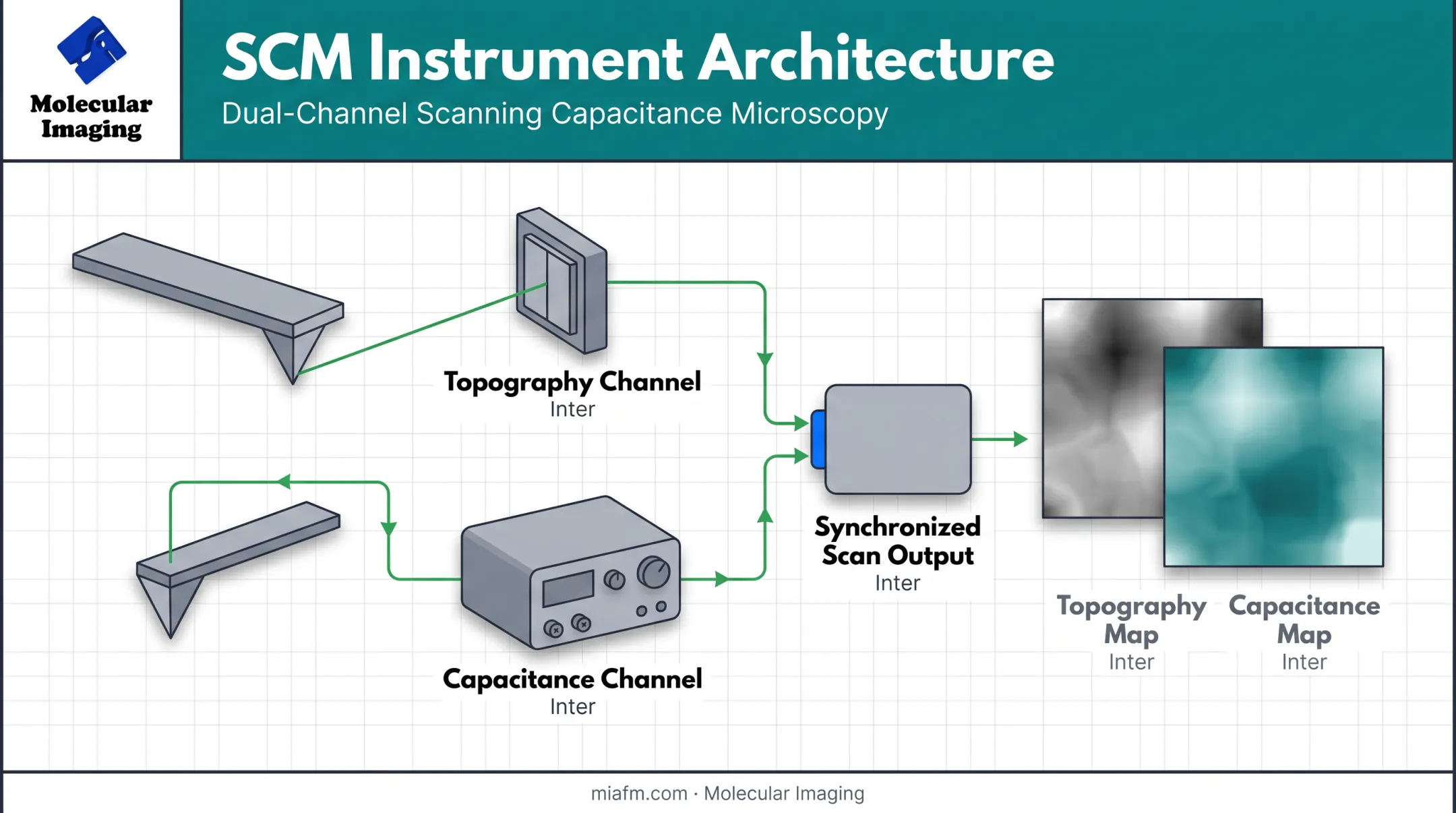 SCM dual-channel measurement system combining AFM feedback and capacitance sensing