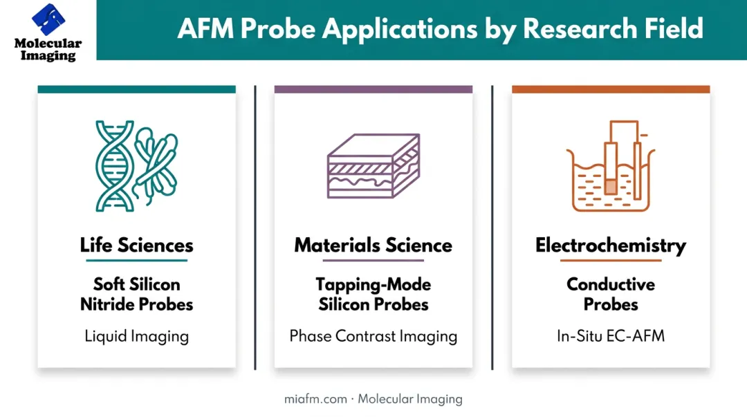 AFM probe applications across life science materials and electrochemistry fields