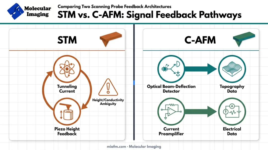 STM single-channel versus C-AFM dual-channel measurement comparison diagram