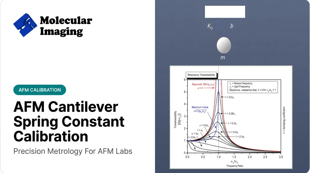 AFM Cantilever Spring Constant Calibration