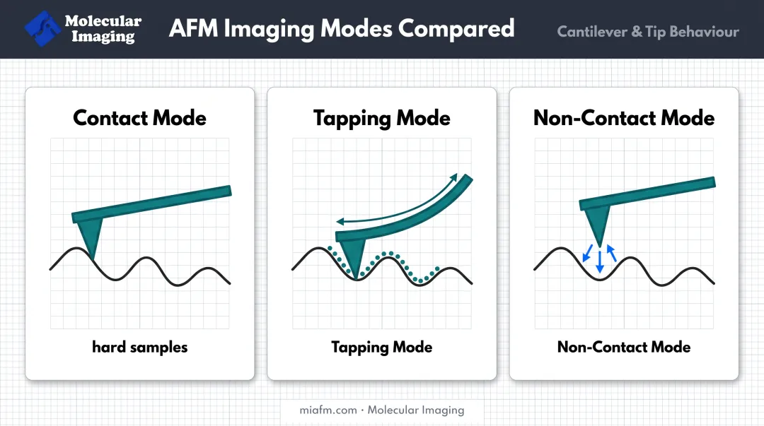 AFM three core imaging modes contact tapping noncontact comparison diagram
