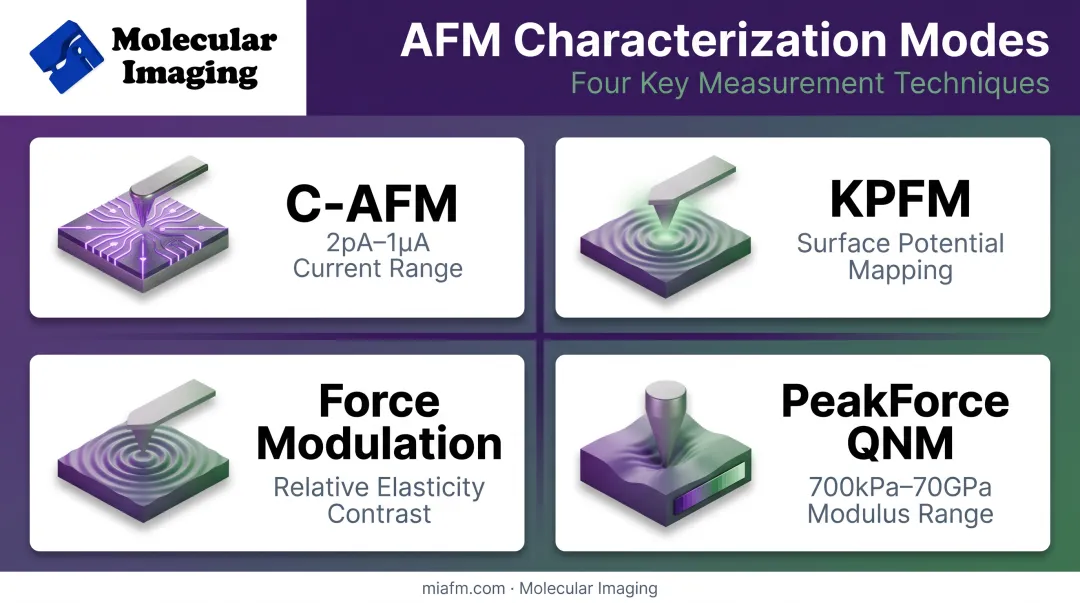 AFM characterization modes mapping electrical and mechanical nanoscale properties