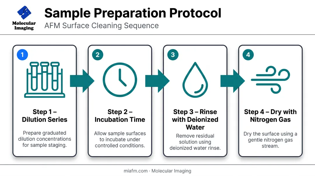 Four-step AFM sample deposition and adhesion process workflow