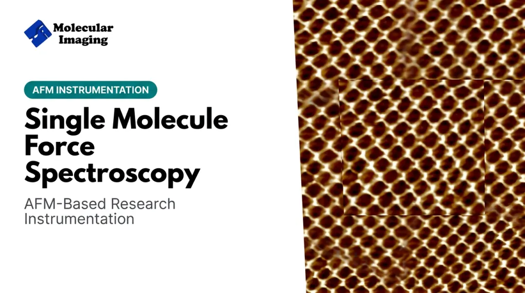Single Molecule Force Spectroscopy