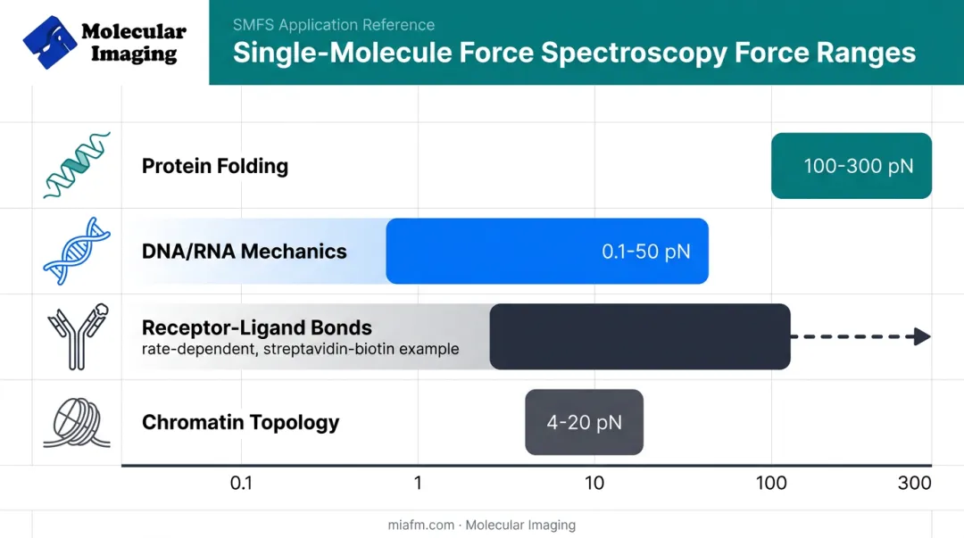 Force ranges across protein folding DNA receptor-ligand and chromatin studies