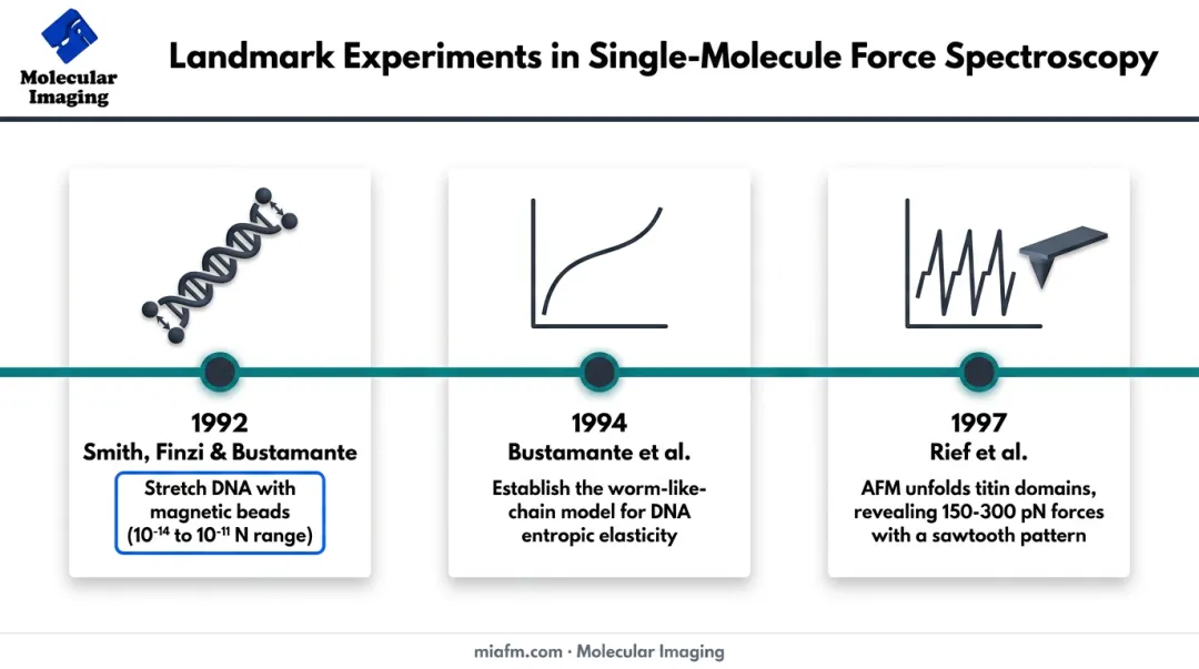 Timeline of single-molecule force spectroscopy milestones from 1992 to 1997