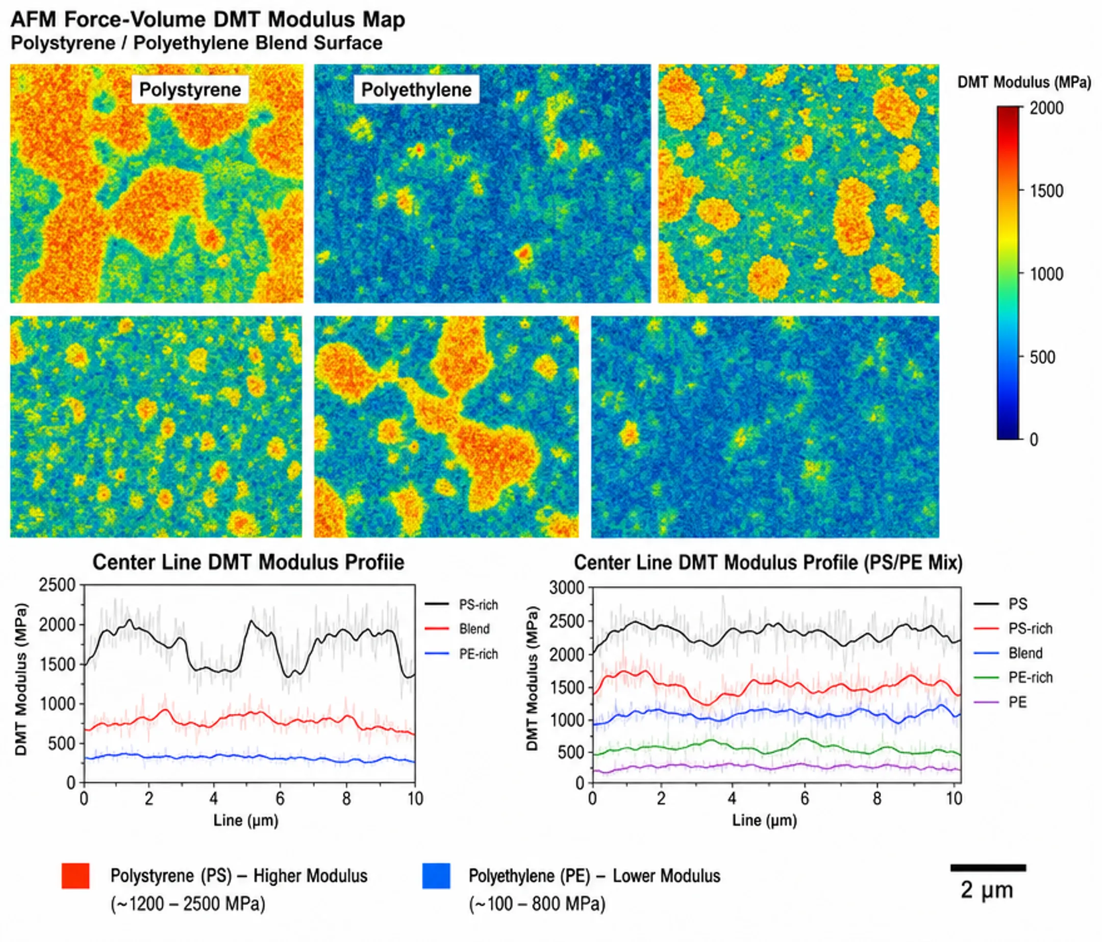 AFM force volume map of polyolefin elastomer blend showing modulus variation