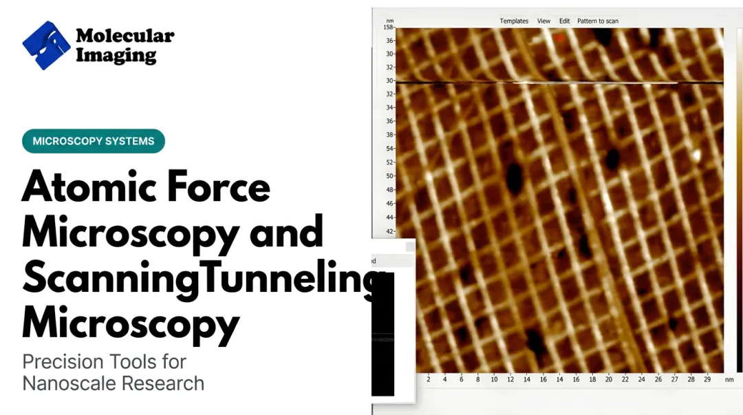 Atomic Force Microscopy and Scanning Tunneling Microscopy