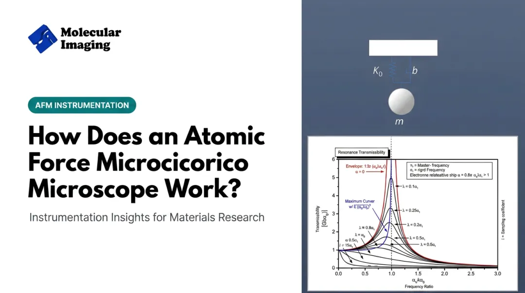 How Does an Atomic Force Microscope Work?