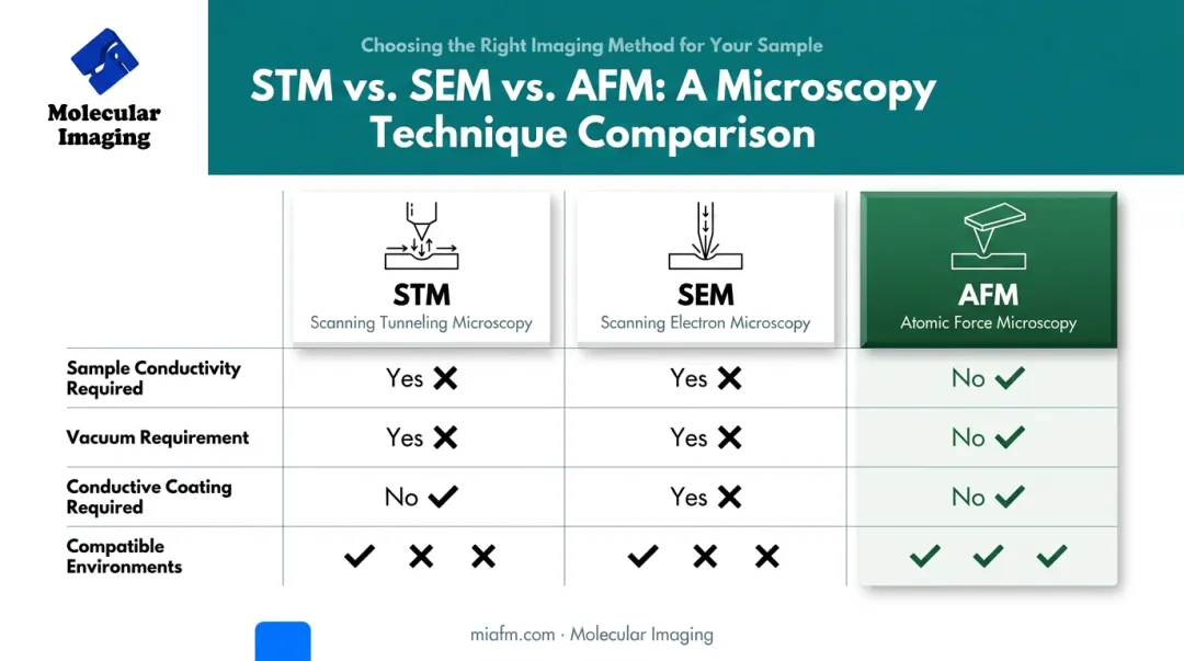AFM versus STM versus SEM microscopy technique comparison infographic