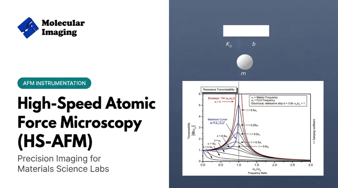 High-Speed Atomic Force Microscopy (HS-AFM)