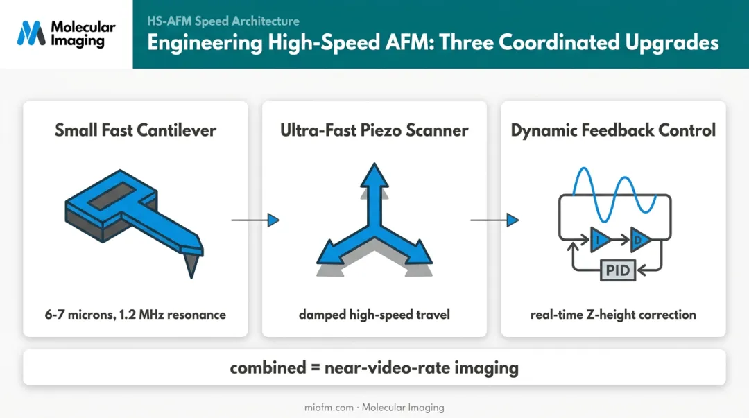 Three-part engineering upgrade behind high-speed AFM frame rates