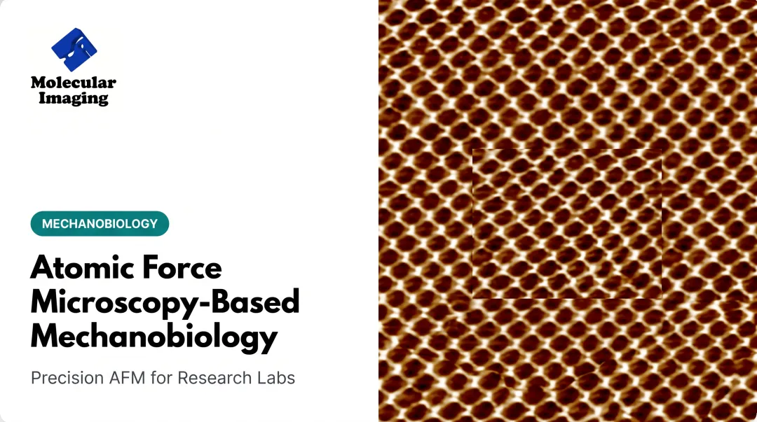 Atomic Force Microscopy-Based Mechanobiology