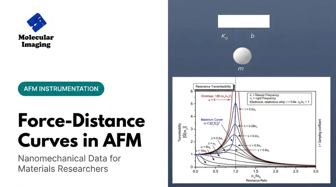 Force-Distance Curves in AFM