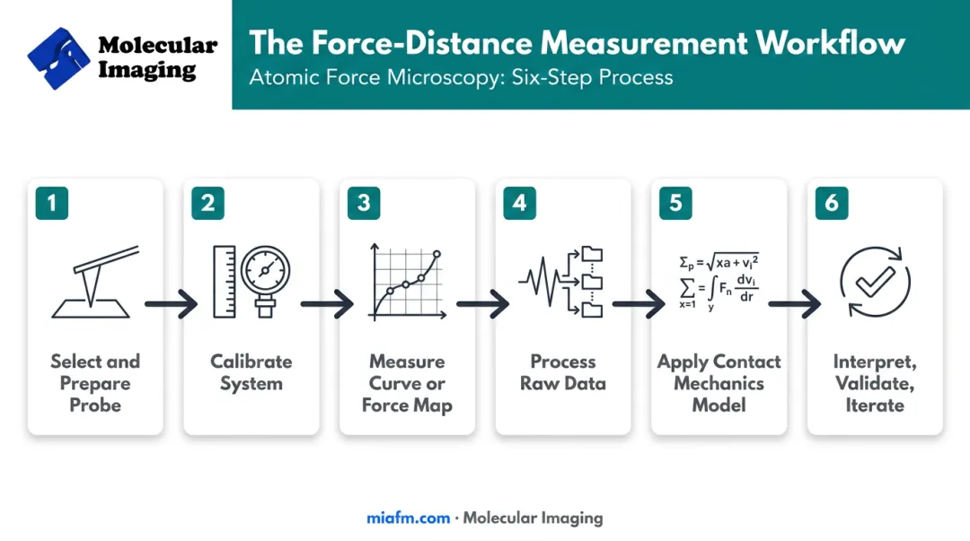 6-step AFM force-distance measurement workflow from probe to interpretation