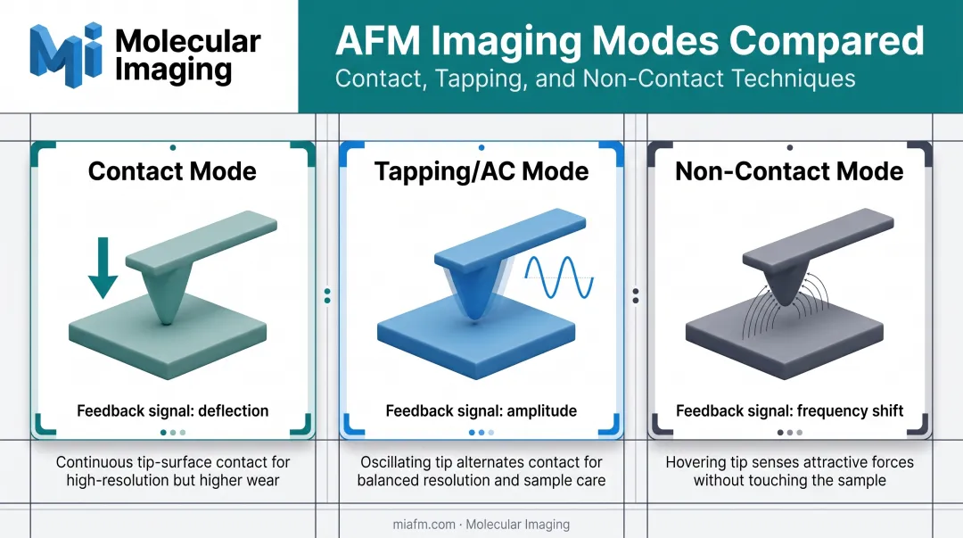 Comparison of contact tapping and non-contact AFM imaging modes