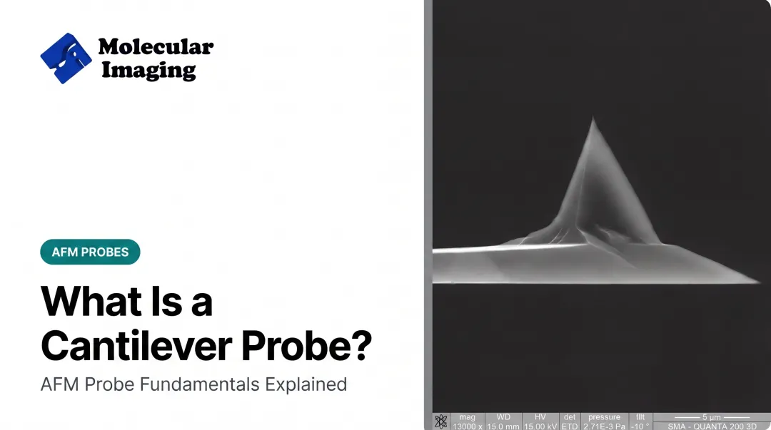 What Is a Cantilever Probe?