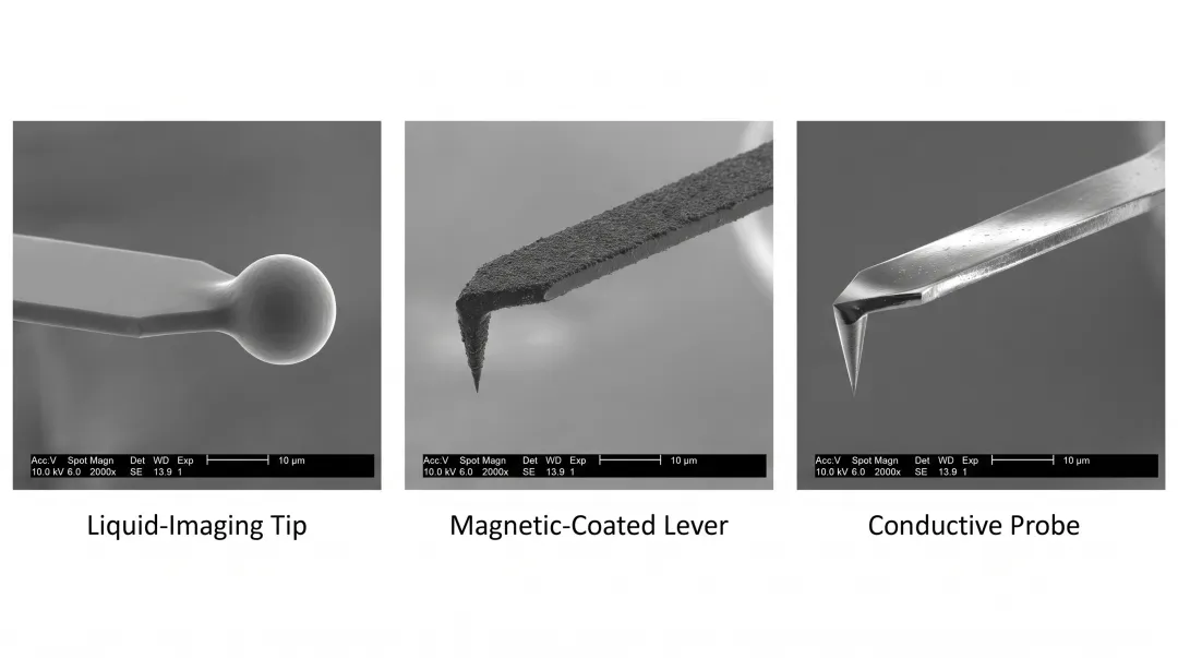 Specialized AFM cantilever probes for liquid conductive and magnetic imaging
