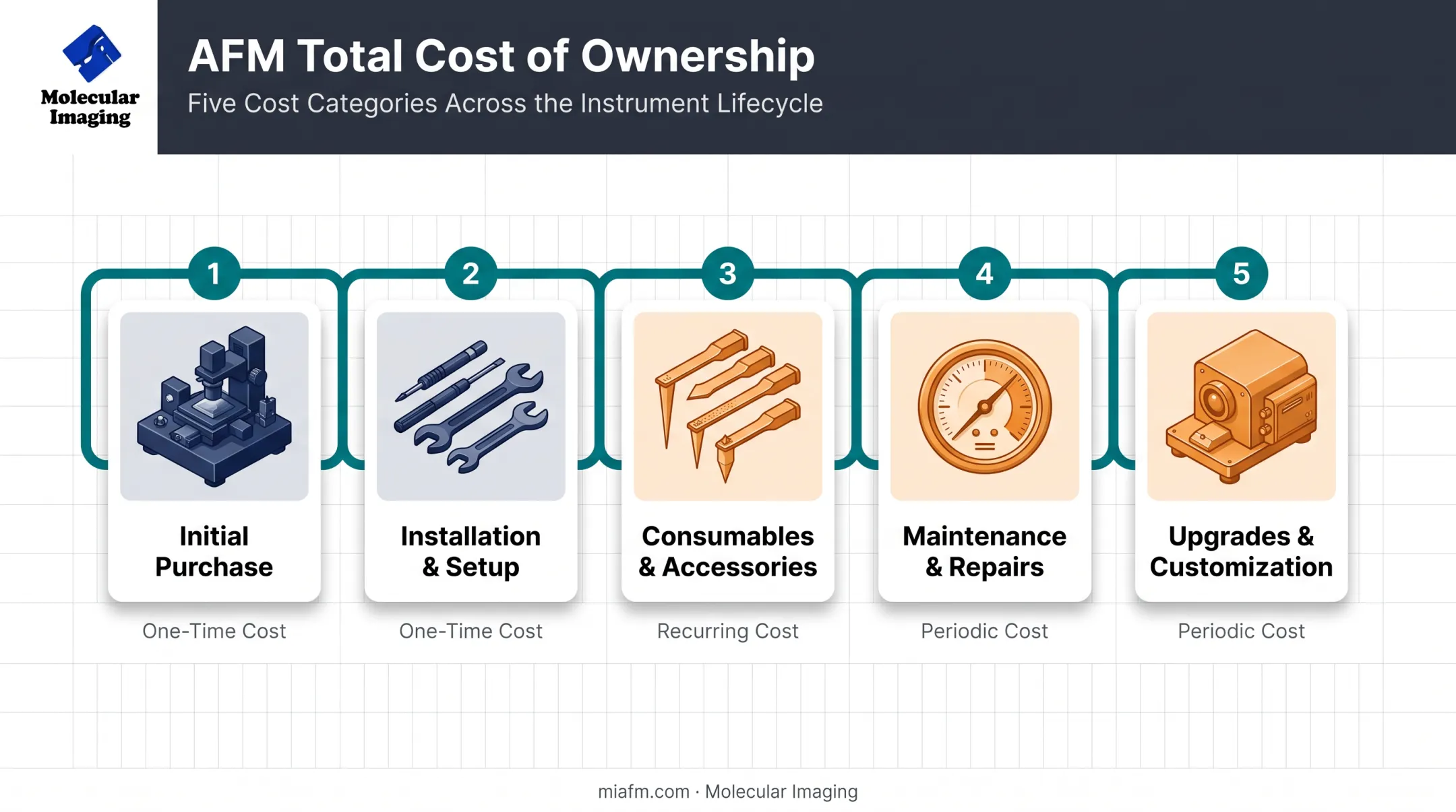 Total cost of ownership breakdown for custom AFM system over time