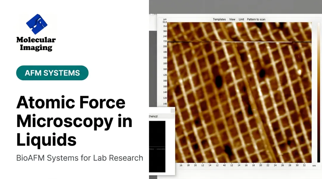 Atomic Force Microscopy in Liquids