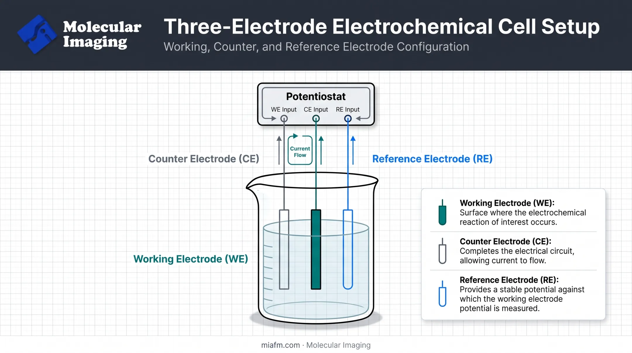 Three-electrode cyclic voltammetry cell setup diagram with labeled components