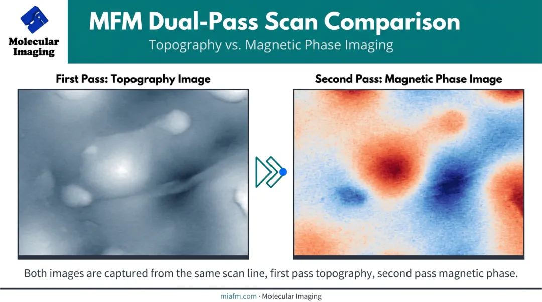 AFM topography image versus MFM magnetic phase image comparison