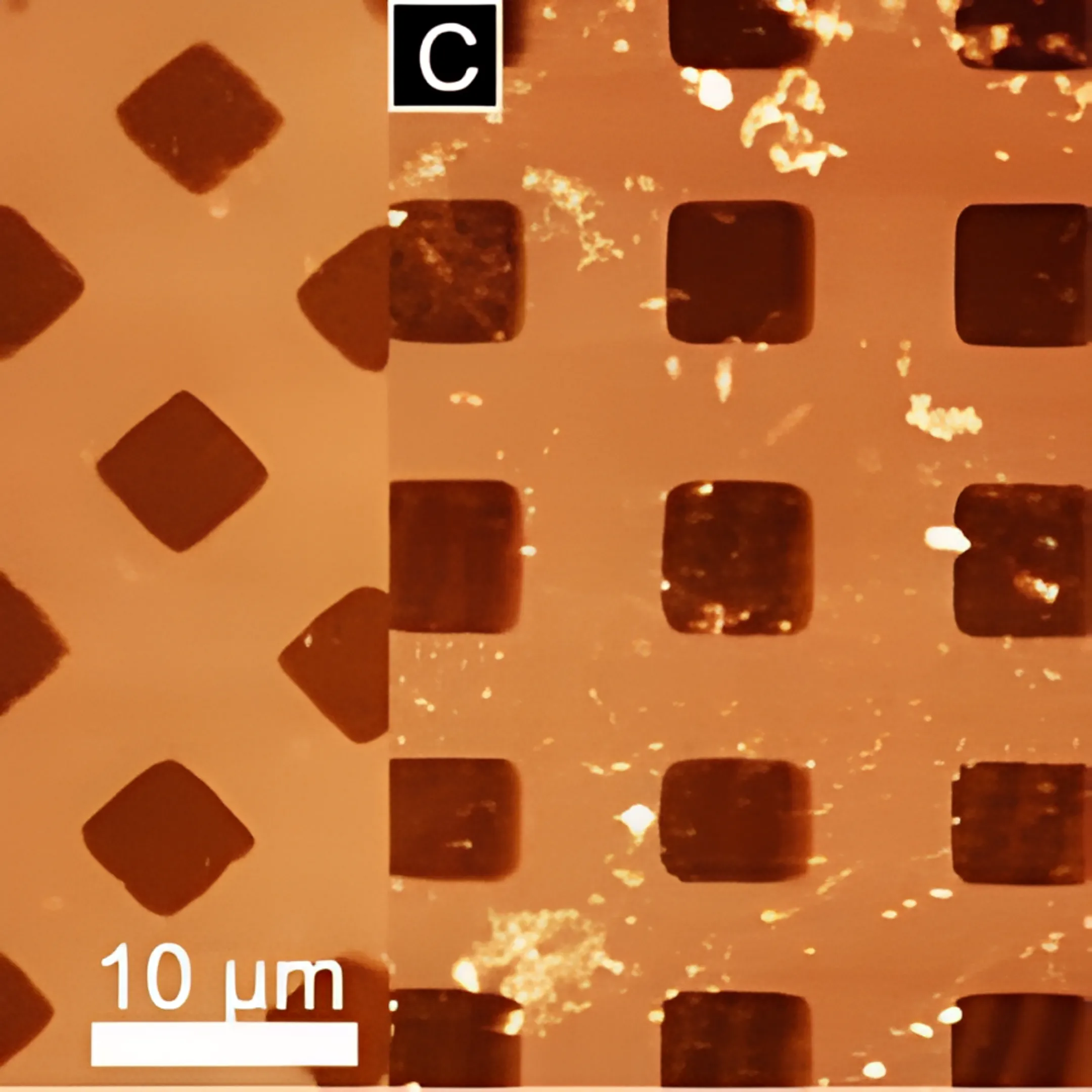 AFM Calibration Sample Grating