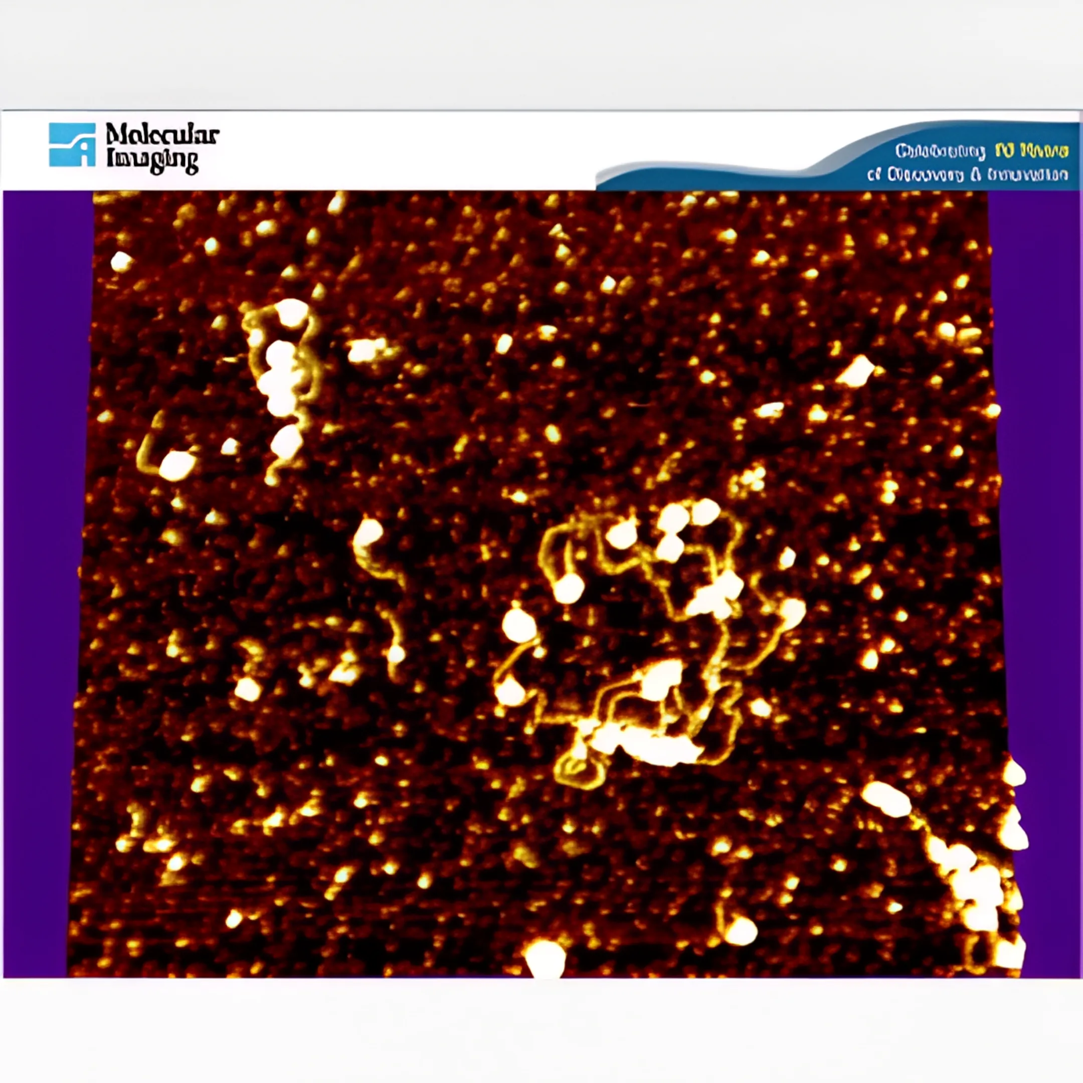 Biological Science Research