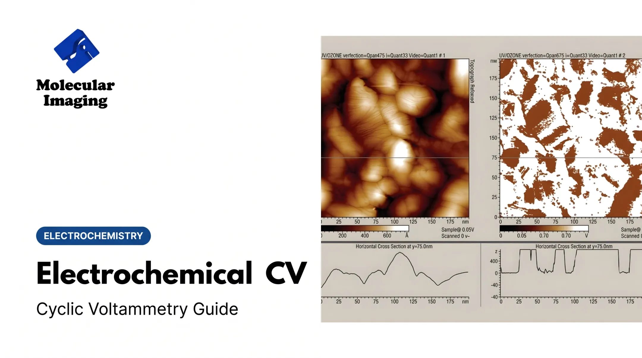 Electrochemical CV: Cyclic Voltammetry Guide