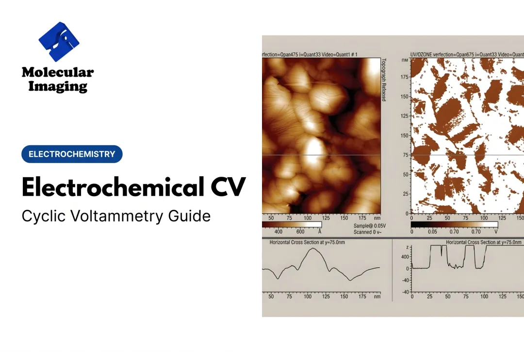 Electrochemical CV: Cyclic Voltammetry Guide