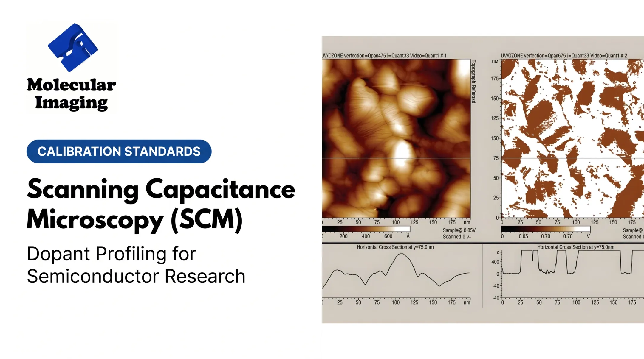 Scanning Capacitance Microscopy (SCM)