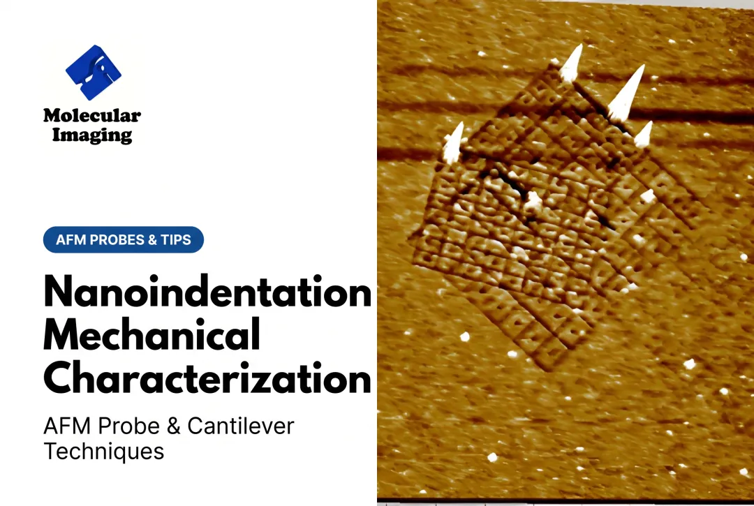Nanoindentation Mechanical Characterization