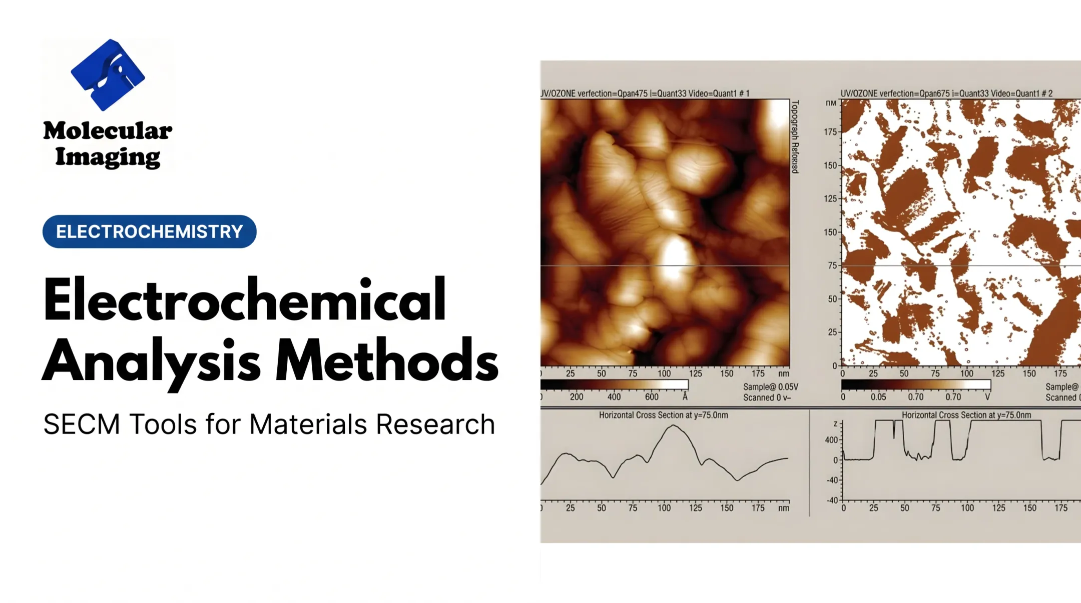 Electrochemical Analysis Methods