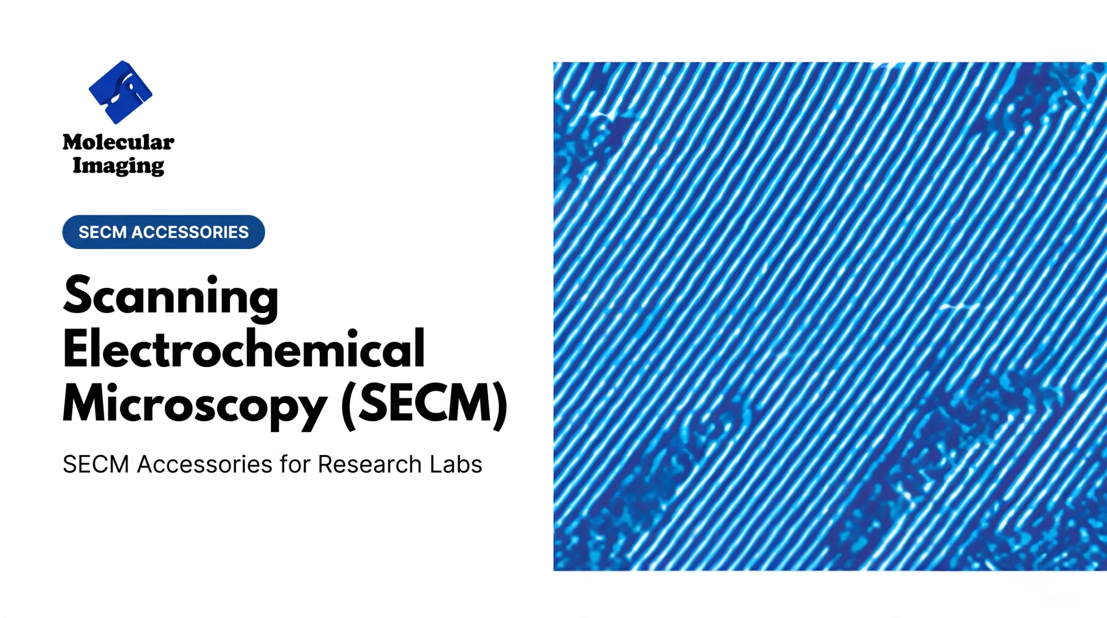 Scanning Electrochemical Microscopy (SECM)