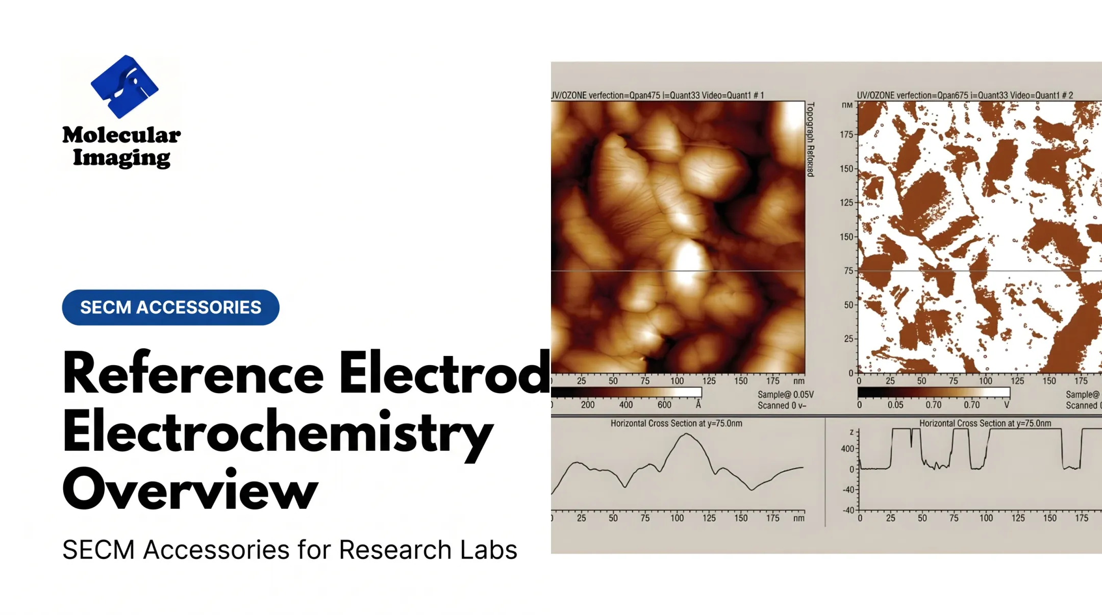 Reference Electrode Electrochemistry Overview