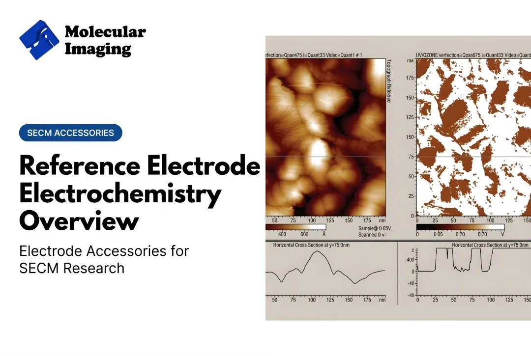 Reference Electrode Electrochemistry Overview