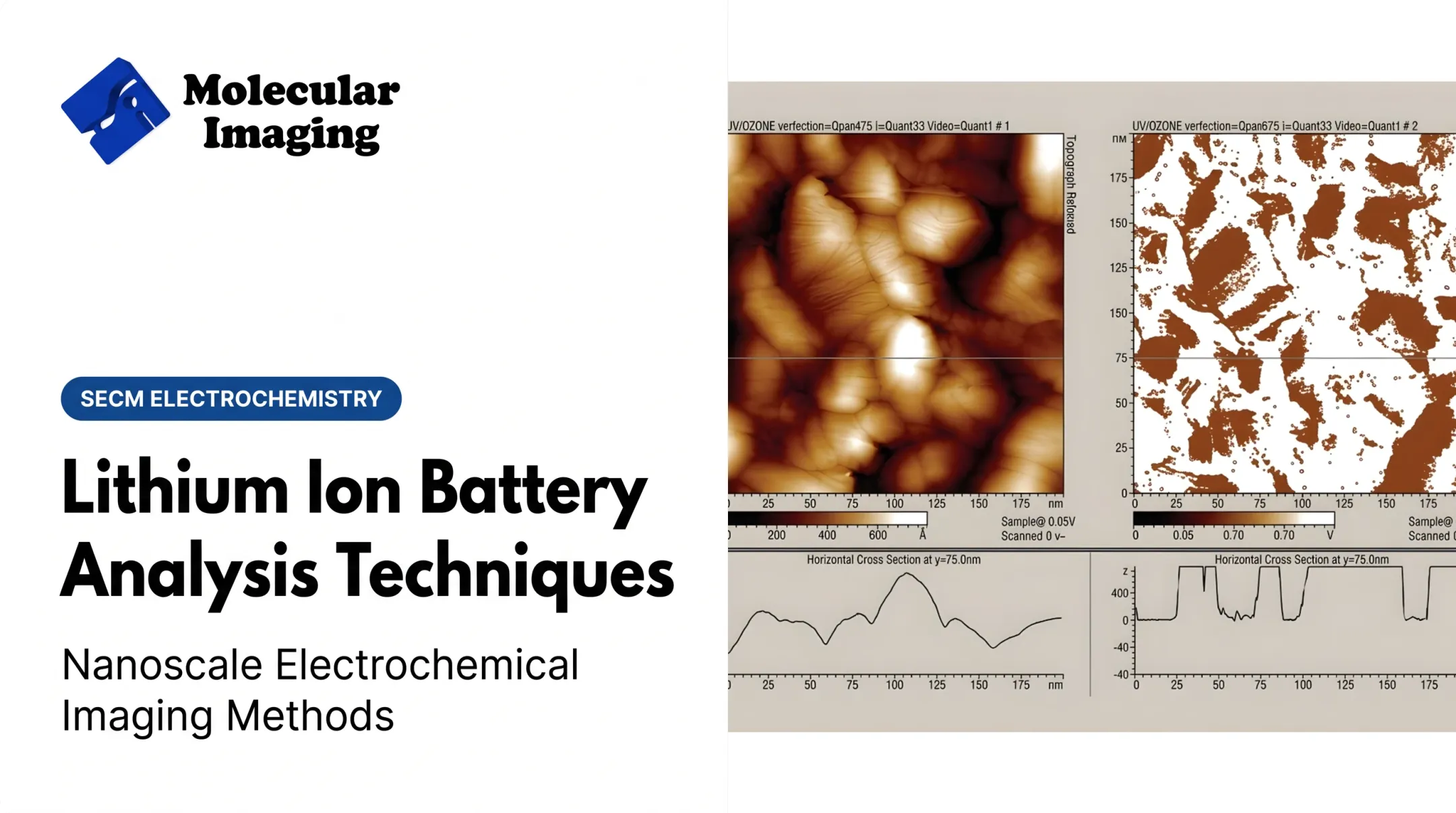 Lithium Ion Battery Analysis Techniques