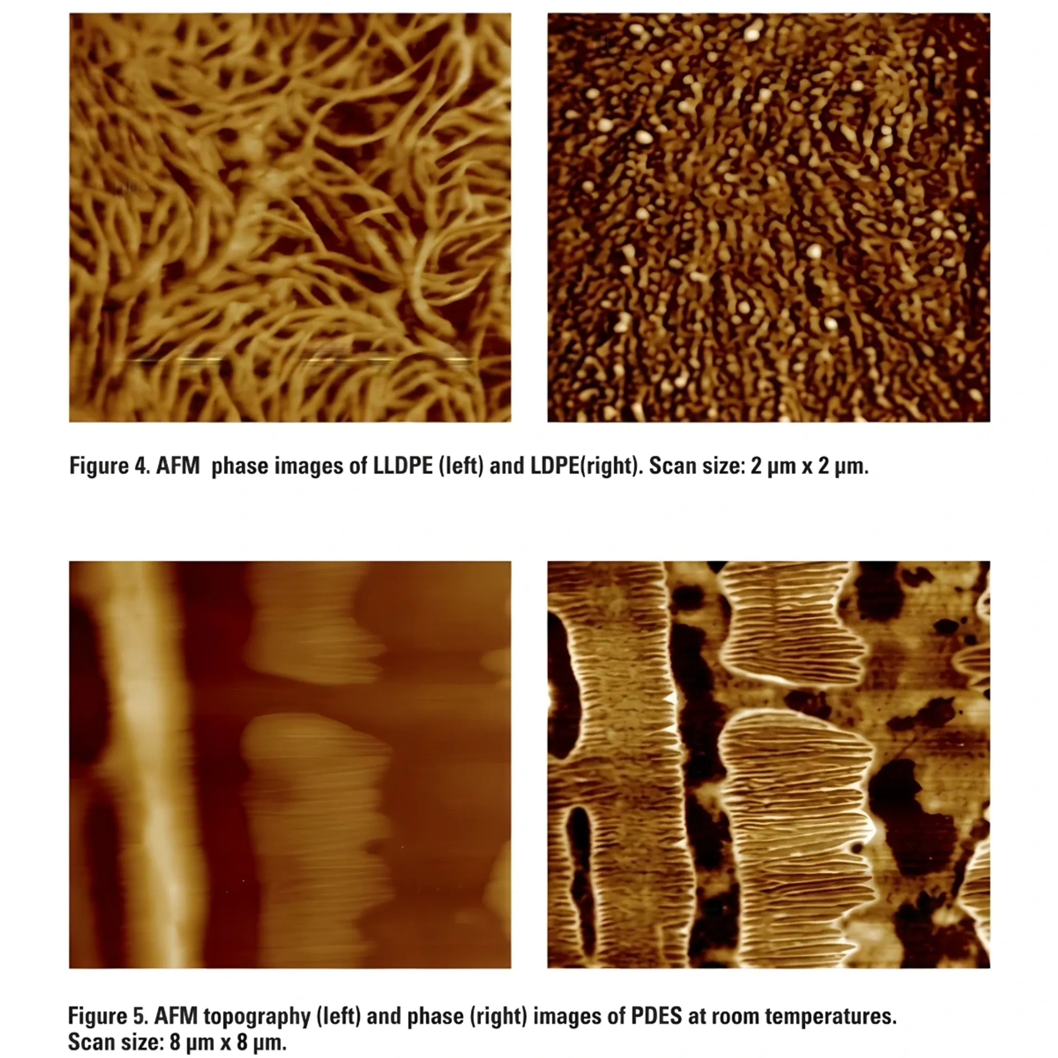Materials Characterization Services