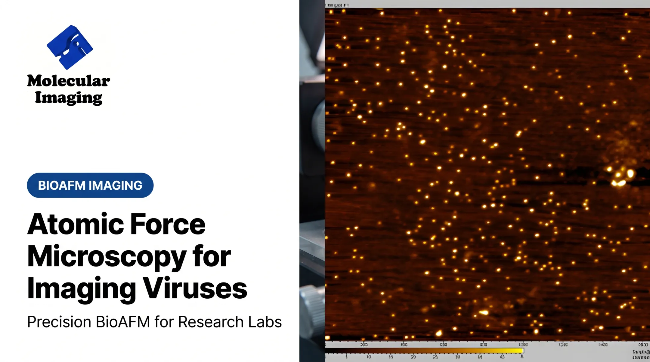 Atomic Force Microscopy for Imaging Viruses