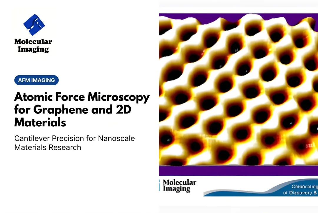 Atomic Force Microscopy for Graphene and 2D Materials